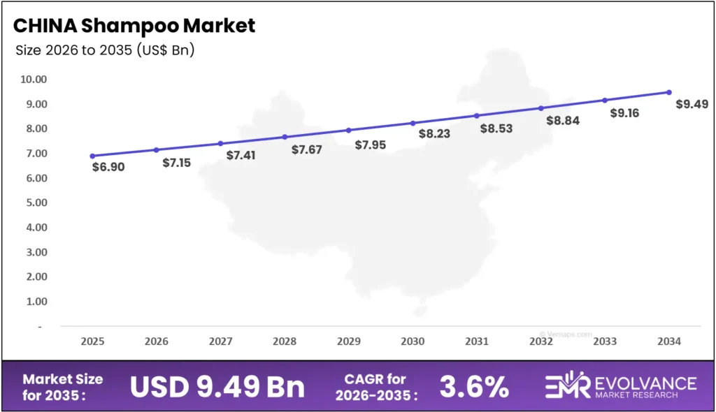 China Shampoo Market Size and Forecast 2025 to 2035 – Revenue Growth Bar Chart