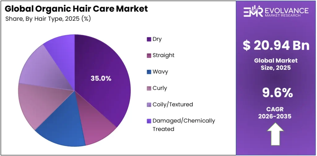Organic Hair Care Market Share by Application Segment 2025 – Global Industry Pie Chart